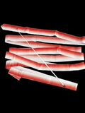 Kit Varita liston sin agarre  bicolor vertical de 6mts. competencia y entrenamiento