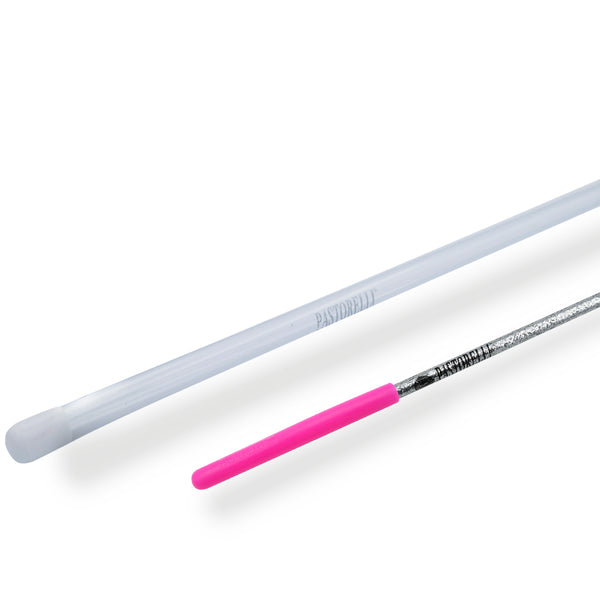 VARITA con goma y estuche tubular PASTORELLI CLASSIC FLASH 59.5 cm.